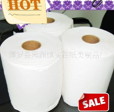 供应专业生产厕纸卫生纸卷纸 卷筒纸 专业厂家 信誉保证