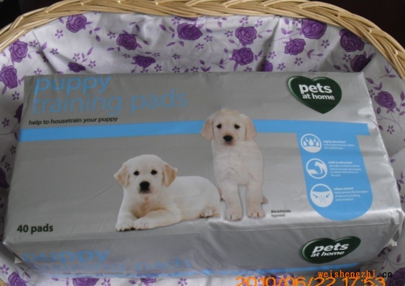 山東煙臺(tái)寵物尿墊