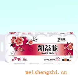 衛(wèi)生紙|生活用紙|保定衛(wèi)生紙廠|凱蒂龍-027