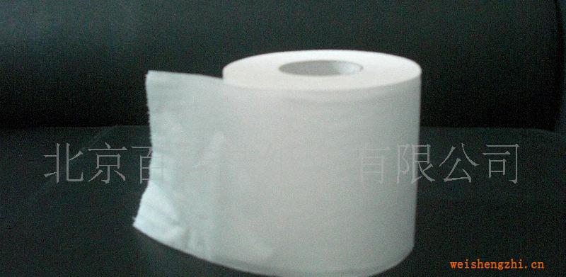 【厂家直销】卷筒纸卷筒卫生纸(图)品质卓越，价格合理