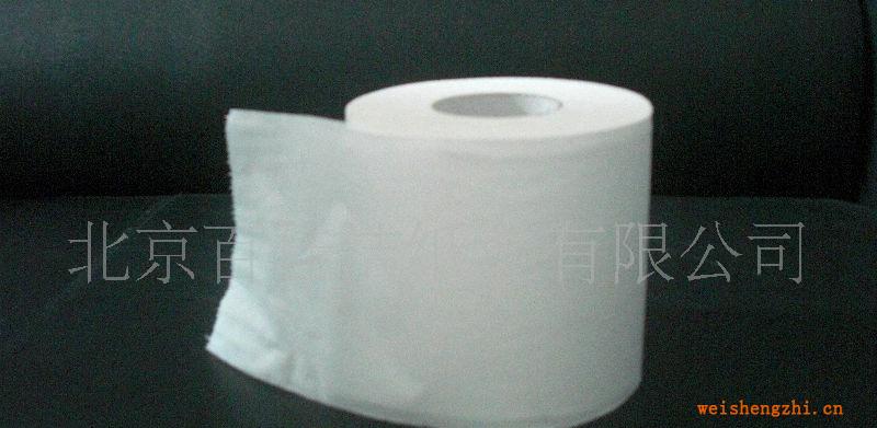 【廠家直銷】卷筒紙卷筒衛(wèi)生紙(圖)品質(zhì)卓越，價(jià)格合理