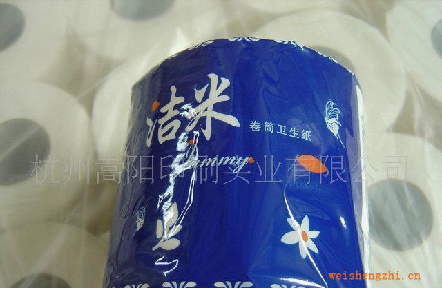 杭州嵩陽供應(yīng)衛(wèi)生紙擦手紙卷筒