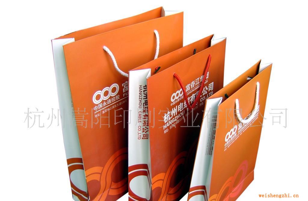 廠家直銷各式紙袋免費提供設(shè)計