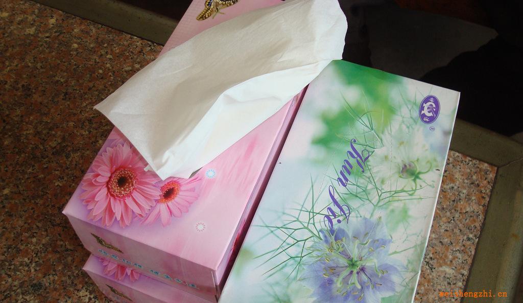 山东厂家专业生产直销供应各种规格型号彩色印刷餐巾纸
