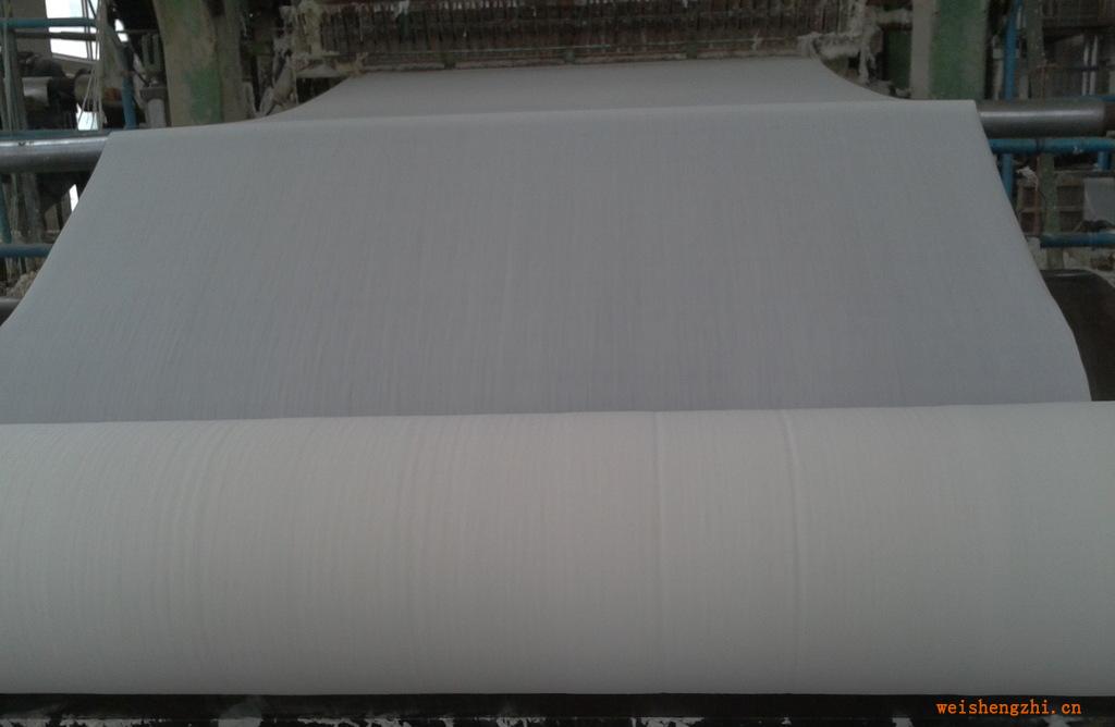 【現貨批發】全木漿衛生紙原紙衛生紙軸（質優價廉）