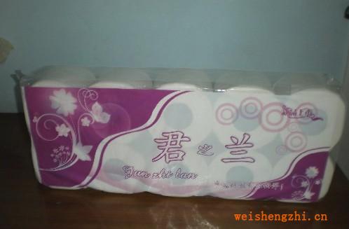 l精品推薦供應(yīng)質(zhì)量保證的衛(wèi)生卷筒紙