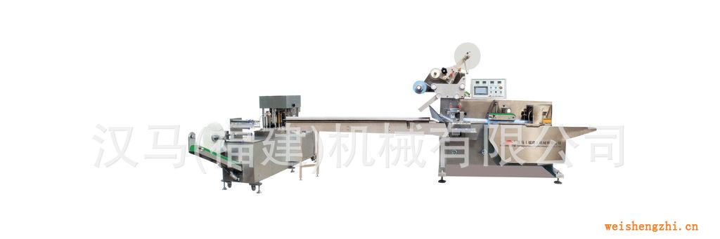 供应HM-200对折式湿巾折叠机湿巾生产机械