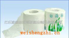 供应卫生卷纸卫生纸厕纸卷筒卫生纸