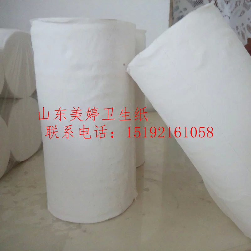 山东美婷纸业有限公司 透彻卫生纸分析