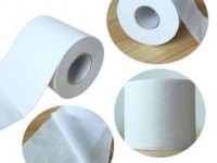 江西省生活用纸专业委员会成立并揭牌