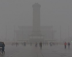 多地造纸企业停产,产能大大减少