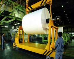 造纸行业前瞻 无惧成本