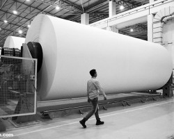 造纸业电子商务带来的影响