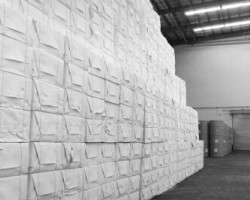 纸浆市场基本维持稳定