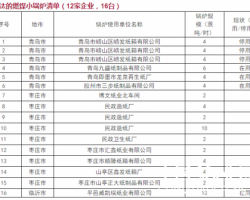山东造纸企业6月前必须完成10蒸吨以上锅炉超低排放