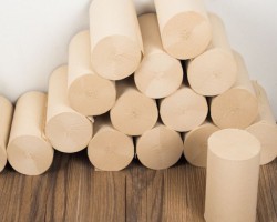 渠县30万吨竹浆纸一体化项目正式落地