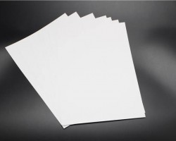 晨鸣集团蝉联造纸企业20强榜首