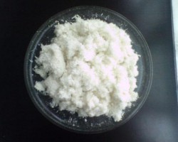 2020年中国纸浆市场供需或有修复