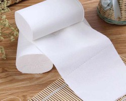 恒安集团许清池一行访问造纸院