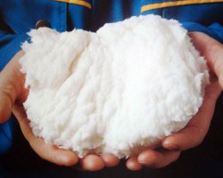 张茵：禁止废纸进口真正把我们逼出来了